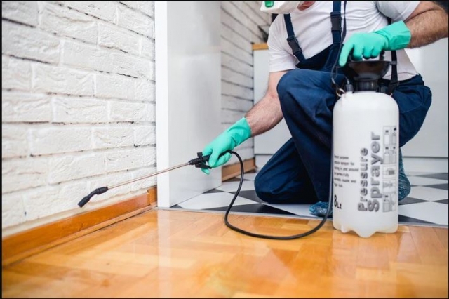 What to Expect During a Pest Control Inspection in Tampa?